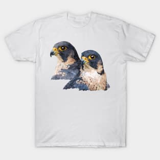 Peregrine falcon T-Shirt